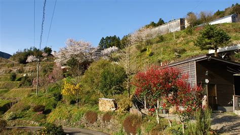 山挨|里山に泊まる、上勝町 – most